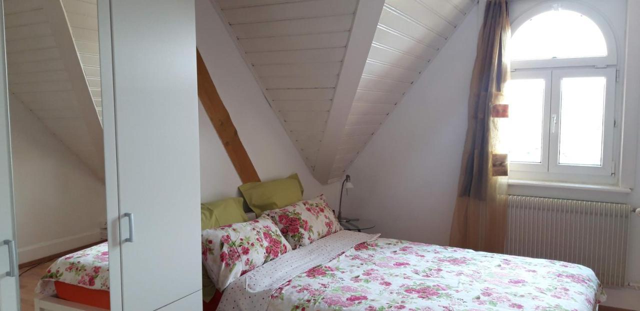 Ferienwohnung Stein Am Rhein Nahe Bahnhof Und Rhein エクステリア 写真